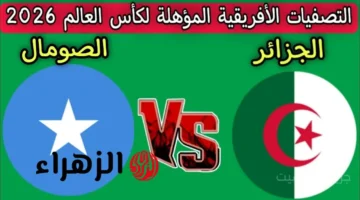 الكل يبحث عنها.. القنوات الناقلة لمباراة الجزائر والصومال في تصفيات كأس العالم 2026 والموعد الرسمي 2